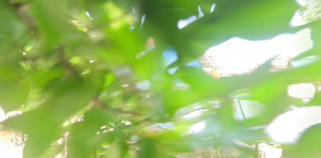 Opinii despre PASAR SENIN HAJI ATAK în Kota Medan - Gastronomi dan perhotelan