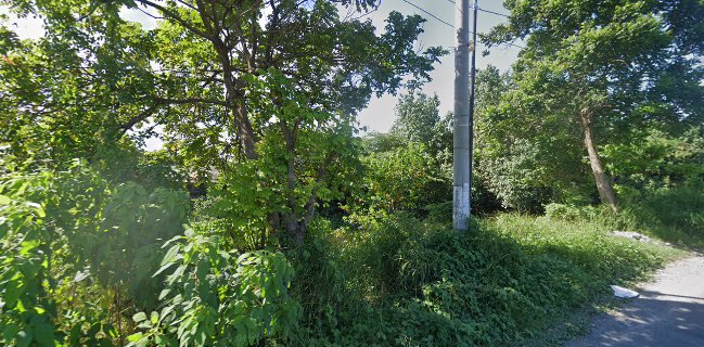 Es legen original tuban