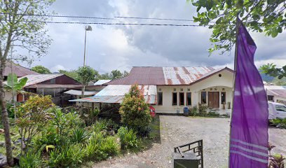 FELORA INSTAN JAHE MERAH