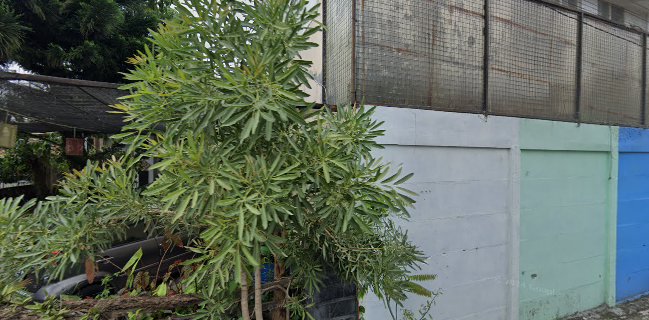 ayemdjiwo Coffee shop