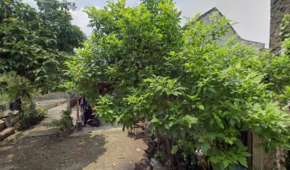 Cinta Indah Wijayanti / bu wiwi