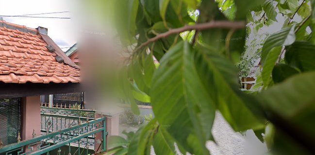 Jasuke Sasuke - Surabaya