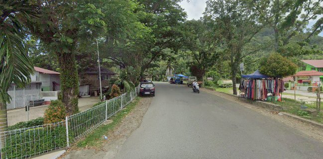 Comentarii opinii despre Roti Kukus Pandan Salero