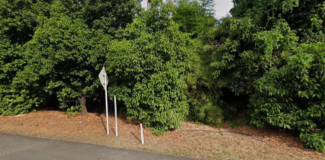 Lelong makassar online